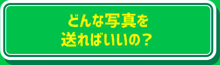 どんな写真を送ればいいの？